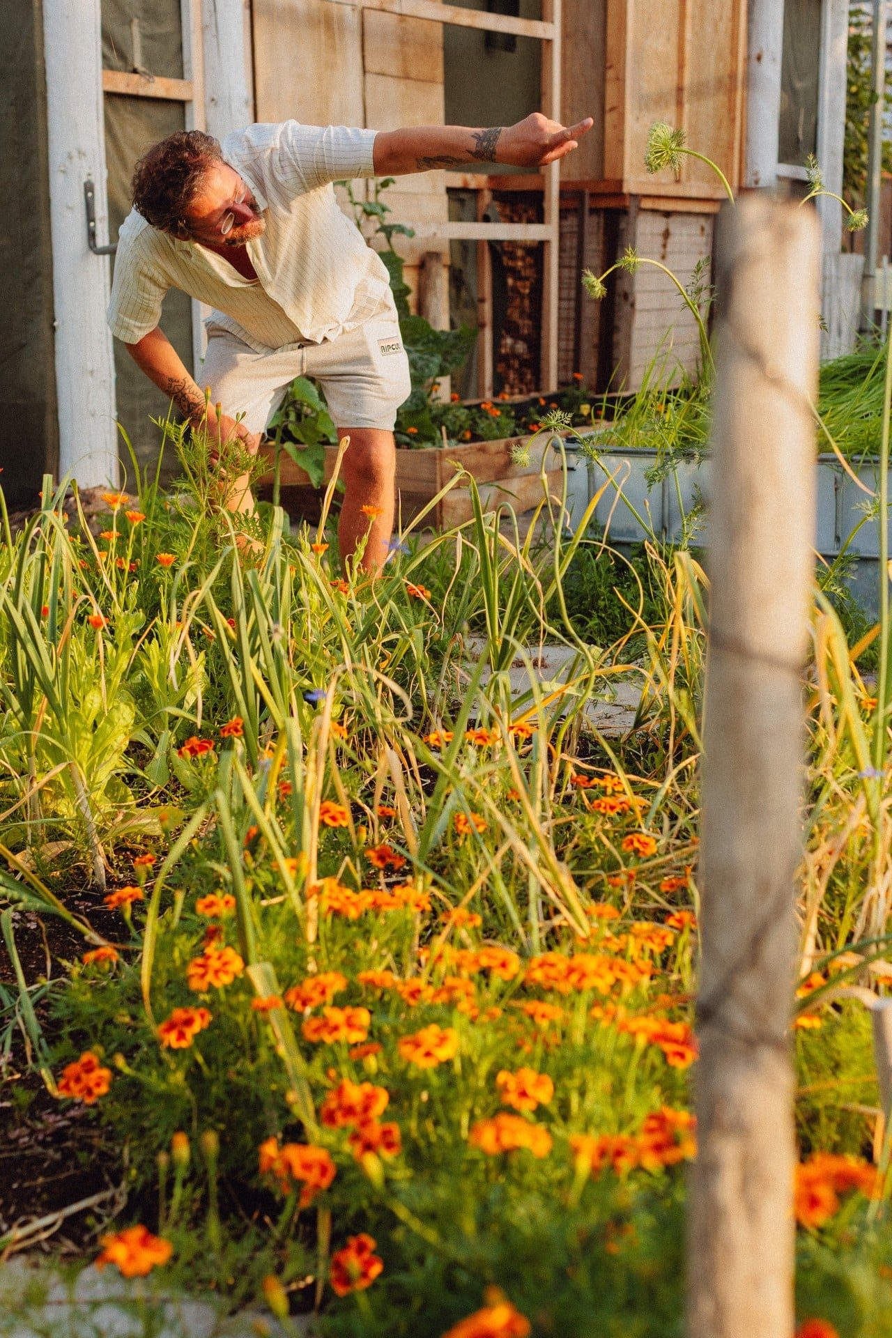 Moon's Farm, Noordwijk, fotografie Studio Zulo