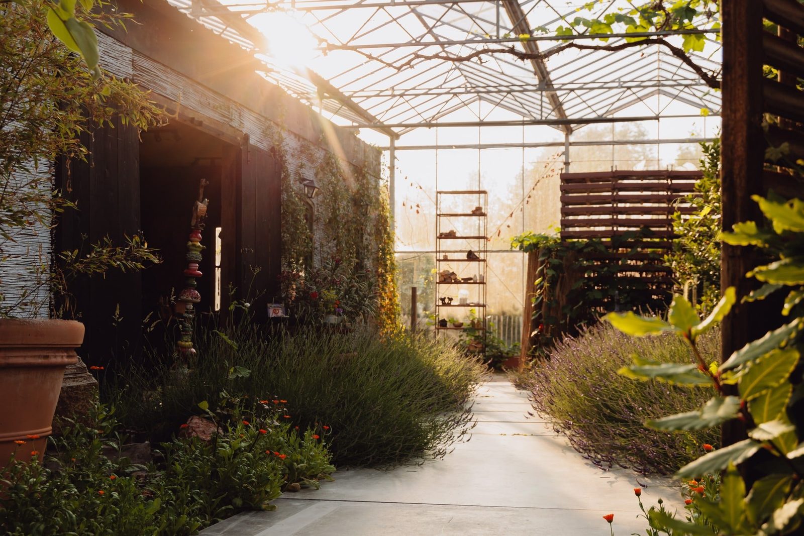 Moon's Farm, Noordwijk, fotografie Studio Zulo