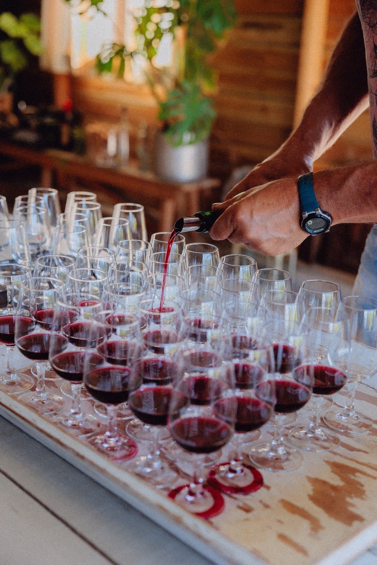 The Surfing Sommelier, Noordwijk, fotografie Studio Zulo
